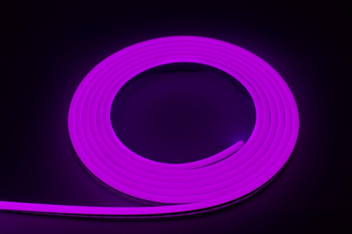 neon flex hr eco 12vdc 12w 50lm 100x283smd 360nm purple bergmen