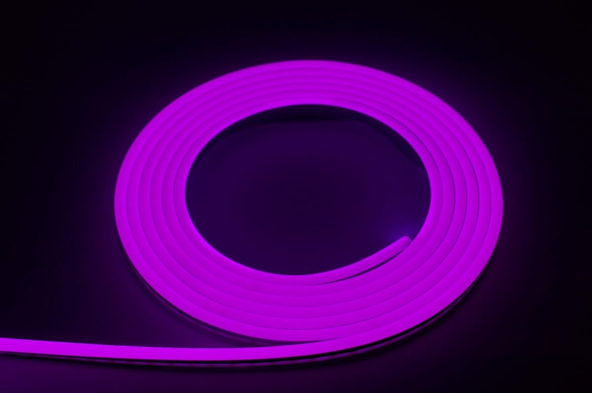 neon flex hr eco end cap purple bergmen 16